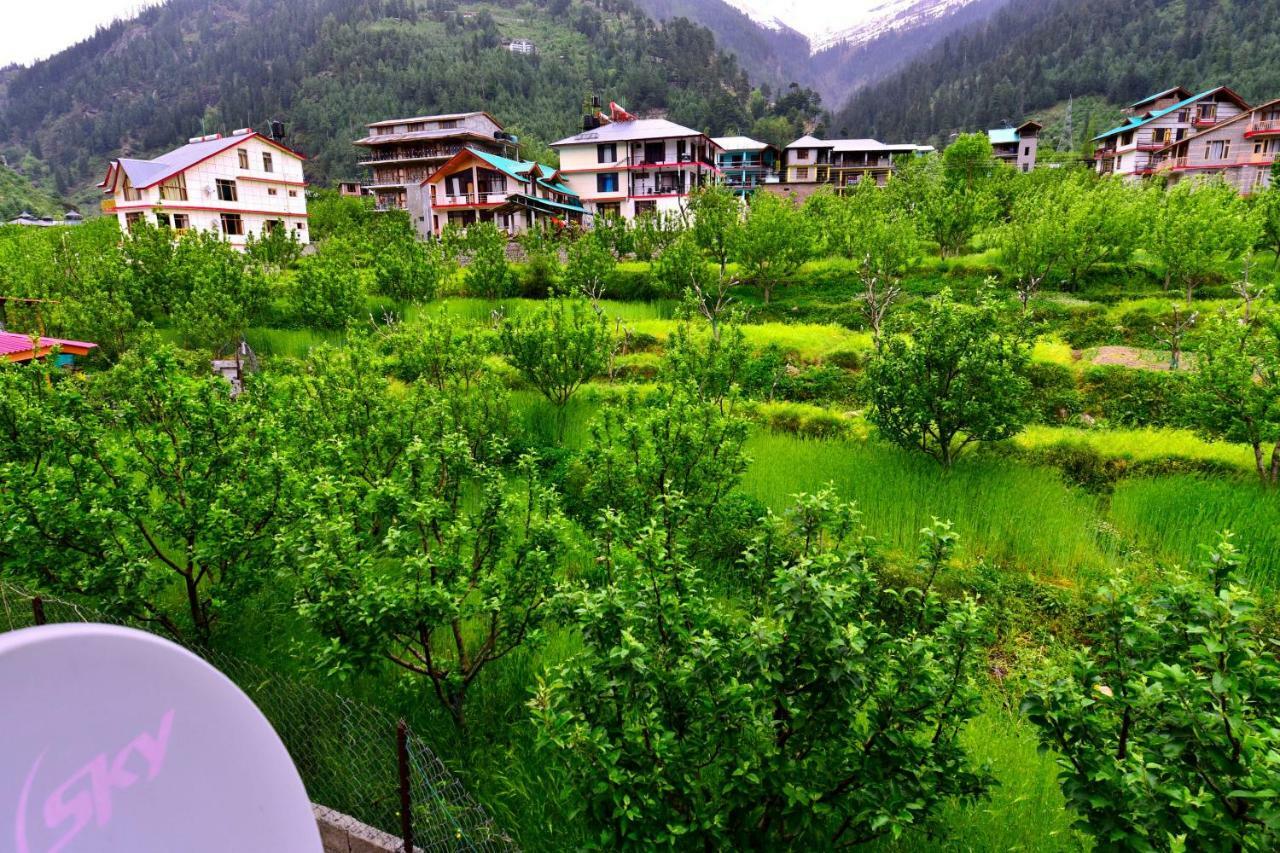 Oyo 38759 Tara Cottages Manali  Luaran gambar